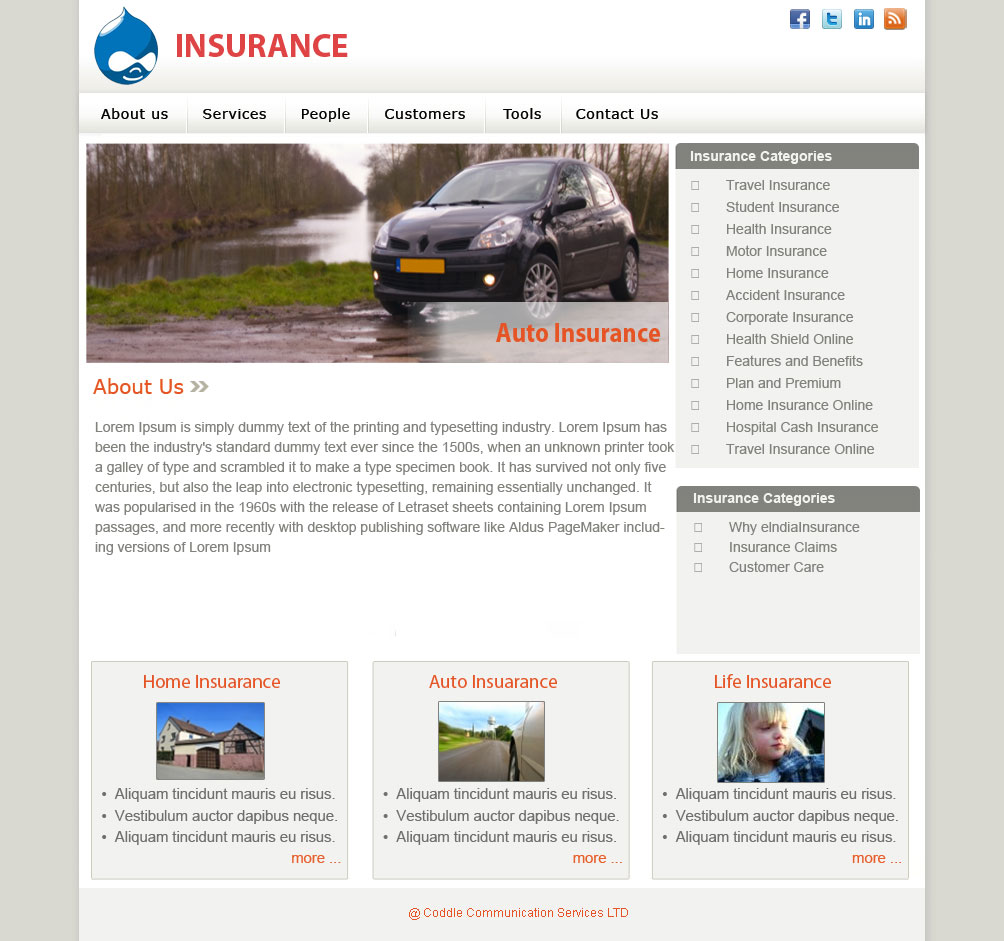 Insurance Theme