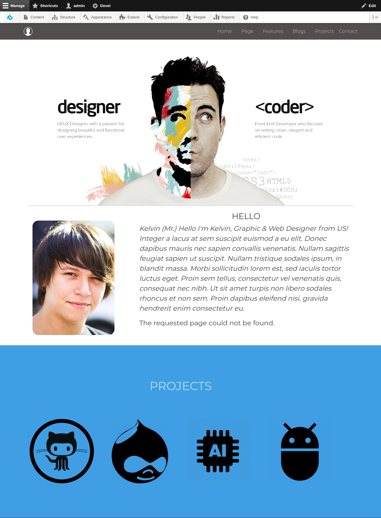 Portfolio theme