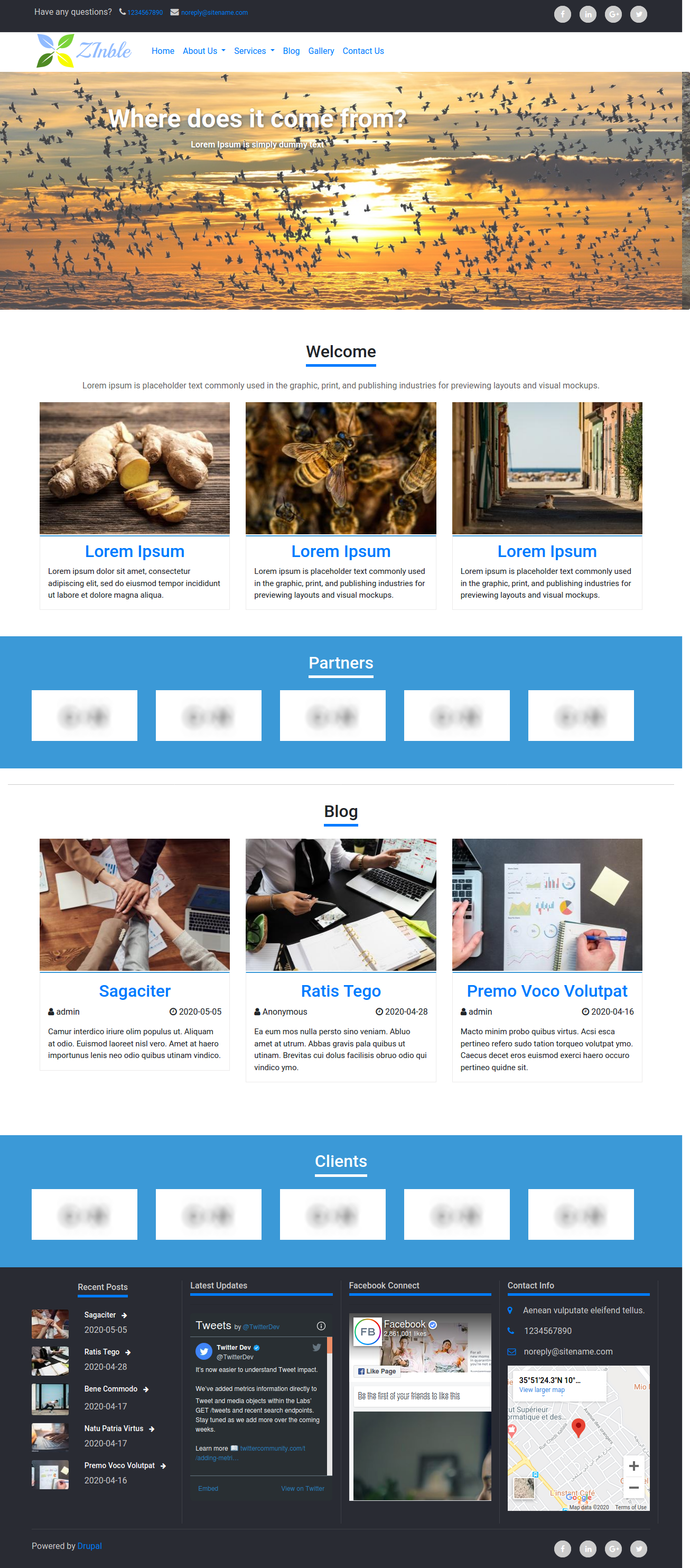 Zinble Drupal 8 Responsive Theme